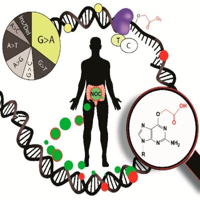 Chemical research in toxicology abbreviation