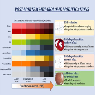 Chemical Research In Toxicology