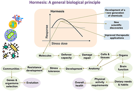 chemical research in toxicology abbreviation