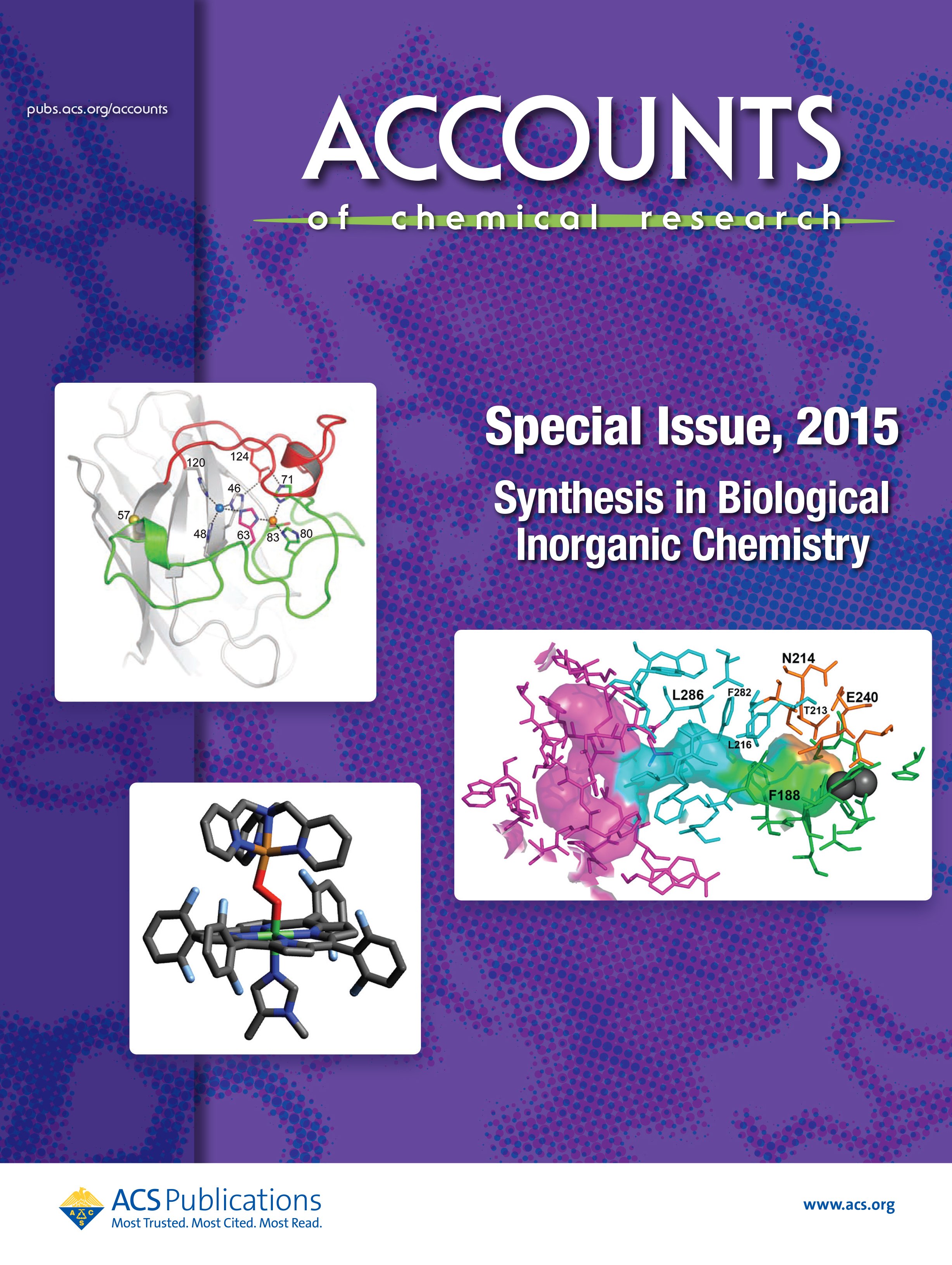 Synthesis In Biological Inorganic Chemistry