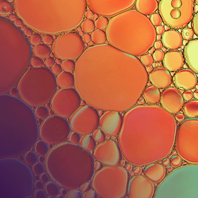 bubbles formed by phase separation