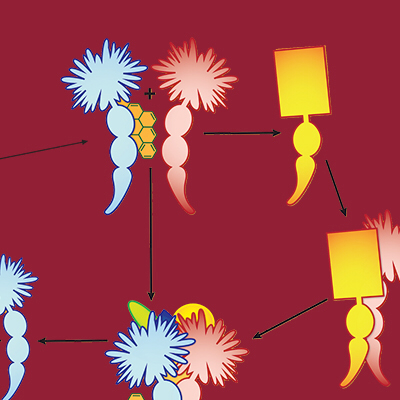 Chemical Research In Toxicology