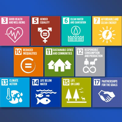 selection of the United Nations Sustainable Development Goals