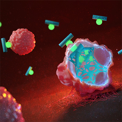 Nanomedicine Virtual Issue cover image